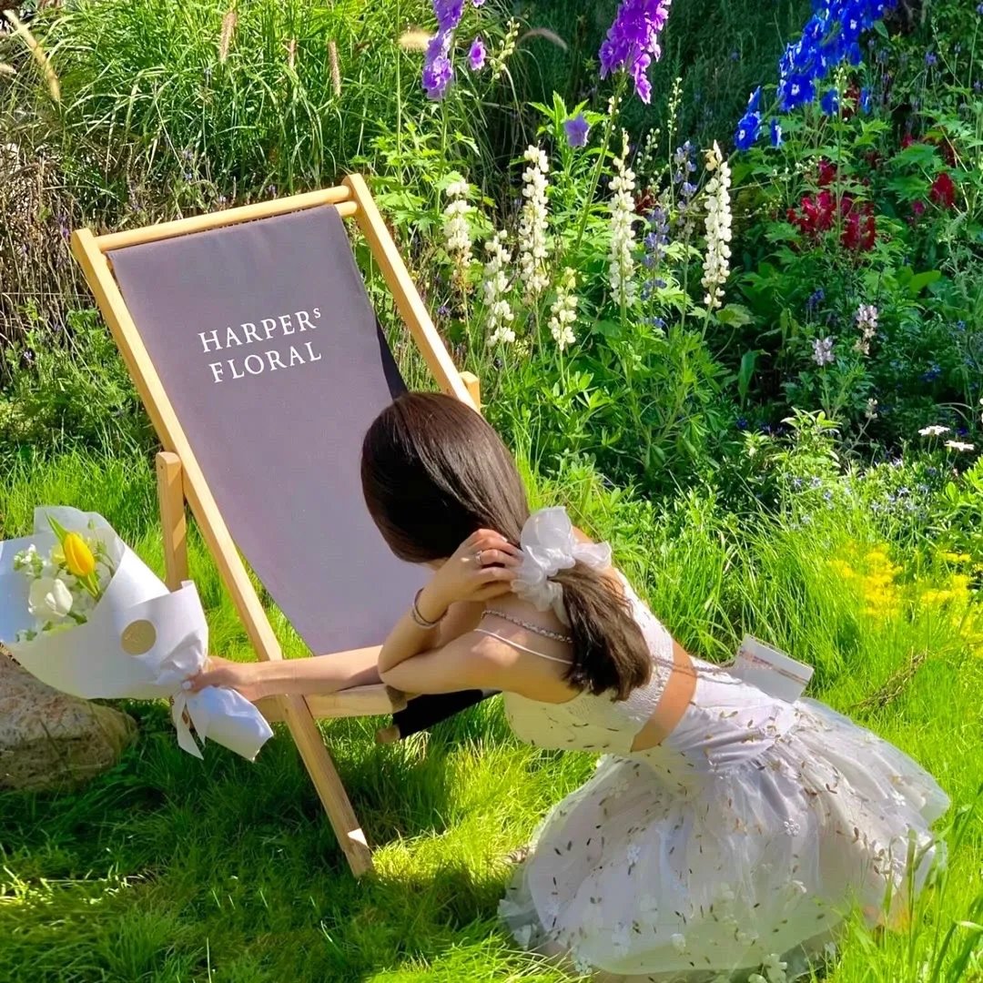 美人局，浮生烬